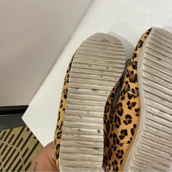 Jeffery Campbell Animal Print Sneaker Trainer Shoes sz 6 - Picture 5 of 8